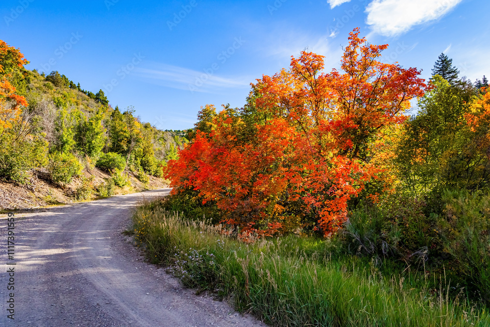 Naklejka premium Road to Moab.