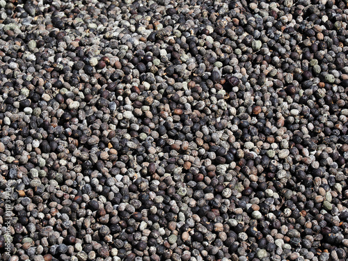 Coffee beans,In the ferment and wash method of wet processing