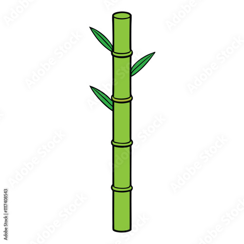 bamboo plant isolated on white