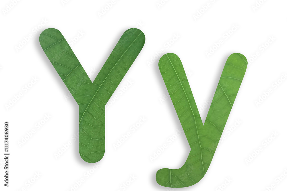 Y shape made of leaves isolated on transparent background, go green concept, PNG
Y shape made of leaves isolated on transparent background, go green concept, PNG