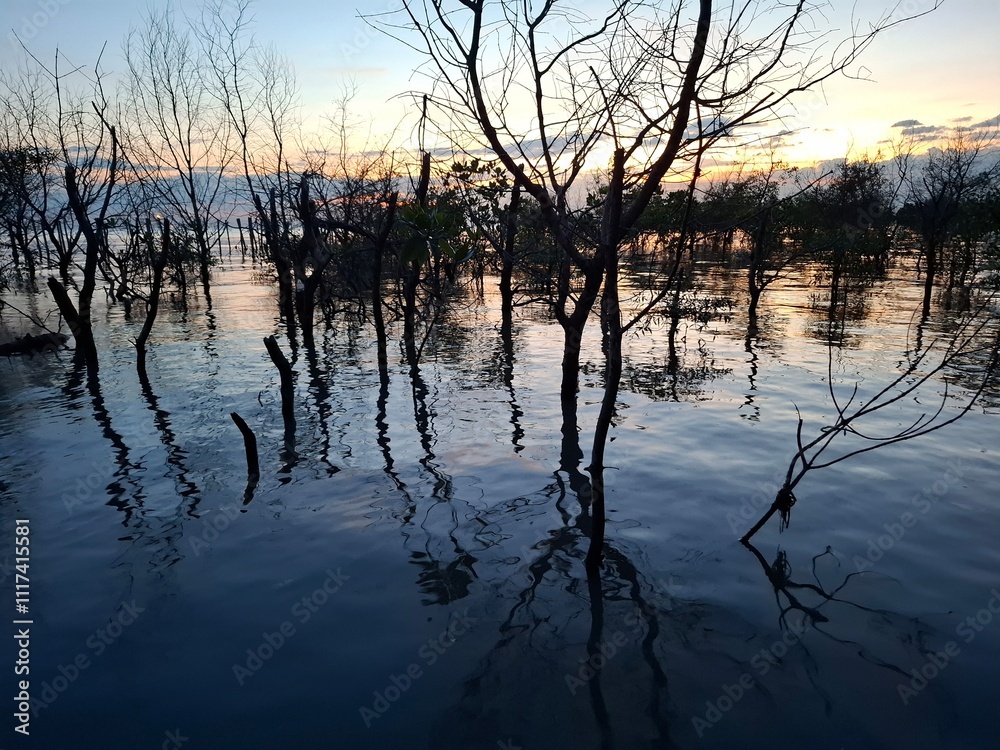Evening landscape of the mangrove forest at sunset, peaceful and cool. Evening landscape of the mangrove forest at sunset, peaceful and cool.