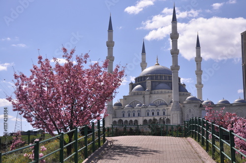 Mimar Sinan Mosque and sakura tree in Istanbul, Turkey photo