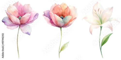 Three flowers are shown in a row, with the middle one being the tallest