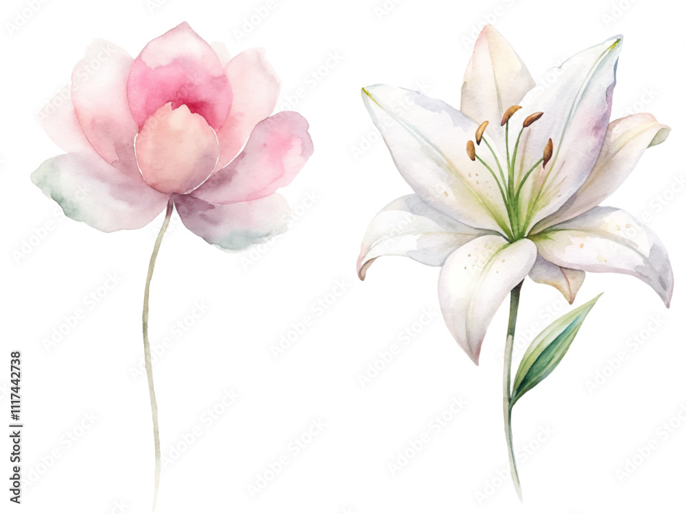 Naklejka premium Two flowers, one pink and one white, are shown side by side