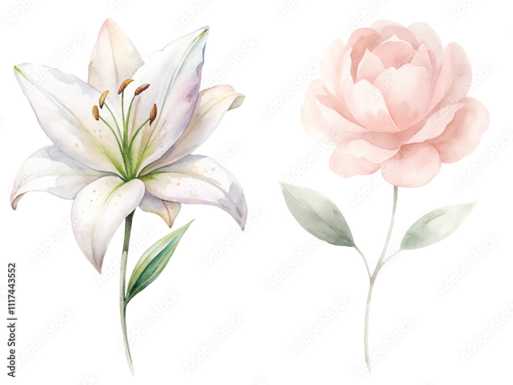 Naklejka premium Two flowers, one white and one pink, are shown side by side