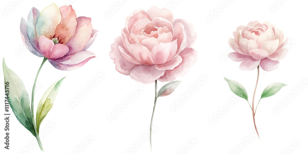 Fototapeta premium Three pink flowers are shown in a watercolor painting