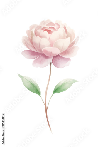 A single pink flower with green leaves