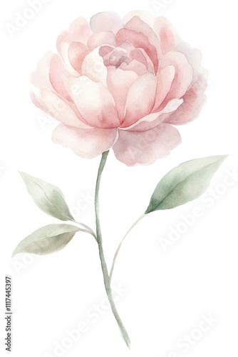 A watercolor painting of a pink flower with green leaves