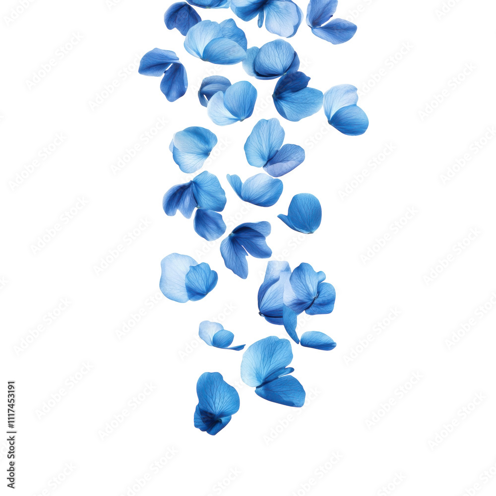 flying blue flower petals isolated on transparent or whote background, cutout, PNG