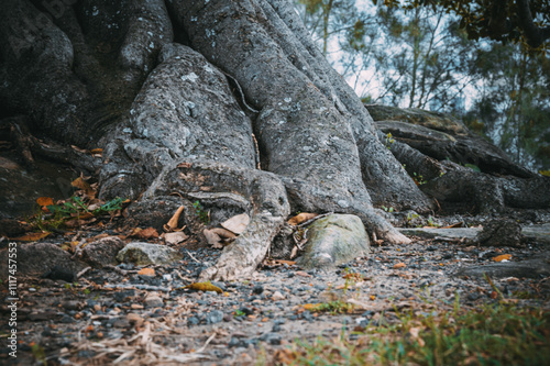 Cabarita Beach is a town in northeastern New South Wales , The beach itself, as well as the nearby Norries Headland, are popular tourist attractions.