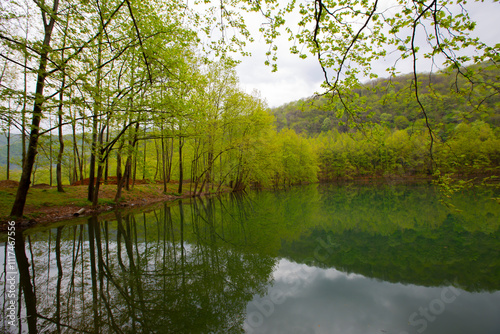 Yalova forest and bottomless lake photo