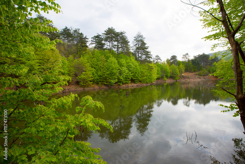 Yalova forest and bottomless lake photo