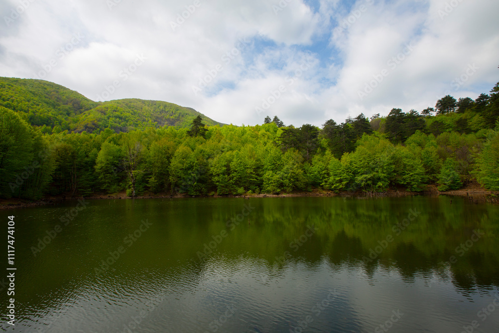 Yalova forest and bottomless lake Yalova forest and bottomless lake