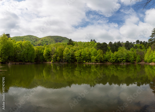 Yalova forest and bottomless lake