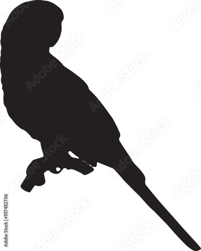 Vector Silhouette Collection: Clean and Bold Designs big set of birds photo