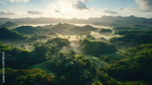 Lush Tropical Landscape Sunrise Aerial View Misty Mountains Green Hills Palm Trees