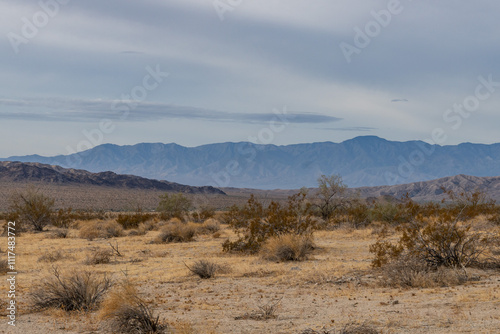 Santa Rosa Mountains with Orocopia Mountains, Colorado Desert section of the Sonoran Desert. Joshua Tree National Park, California. Cottonwood Springs Road photo