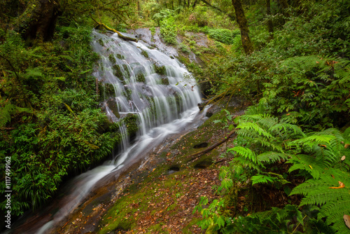 Lan Sadet Waterfall is beautiful small waterfall arive first Kew Mae Pan, Doi Inthanon National park, Thailand. photo