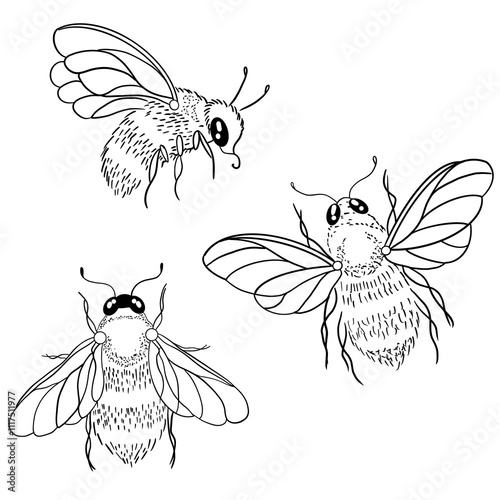 set of cute insect bugs in line art style