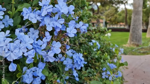 A hotel with greenery and flowers.