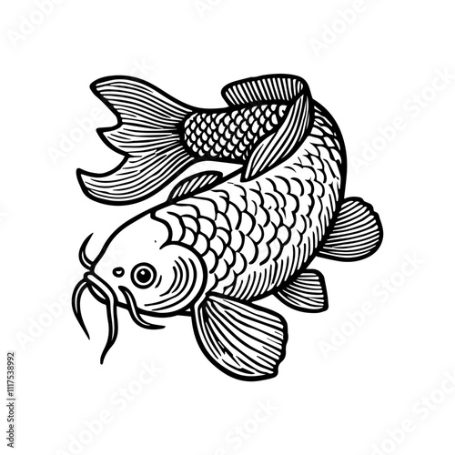 black and white Koi  fishes vector illustration