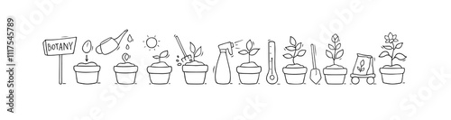 Plant growth from seed to sprout and flower. Doodle icons of process of houseplant growing in pot. Nature, garden, botany concept with stages of flower life, vector hand drawn illustration