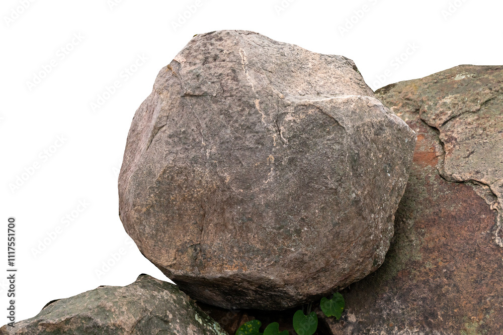 The trees.Rocks and Stone on the Mountain .Isolated on White background with clipping path The trees.Rocks and Stone on the Mountain .Isolated on White background with clipping path