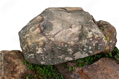 The trees.Rocks and Stone on the Mountain .Isolated on White background with clipping path