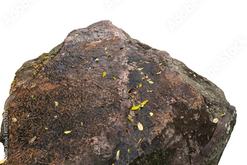 The trees.Rocks and Stone on the Mountain .Isolated on White background with clipping path
