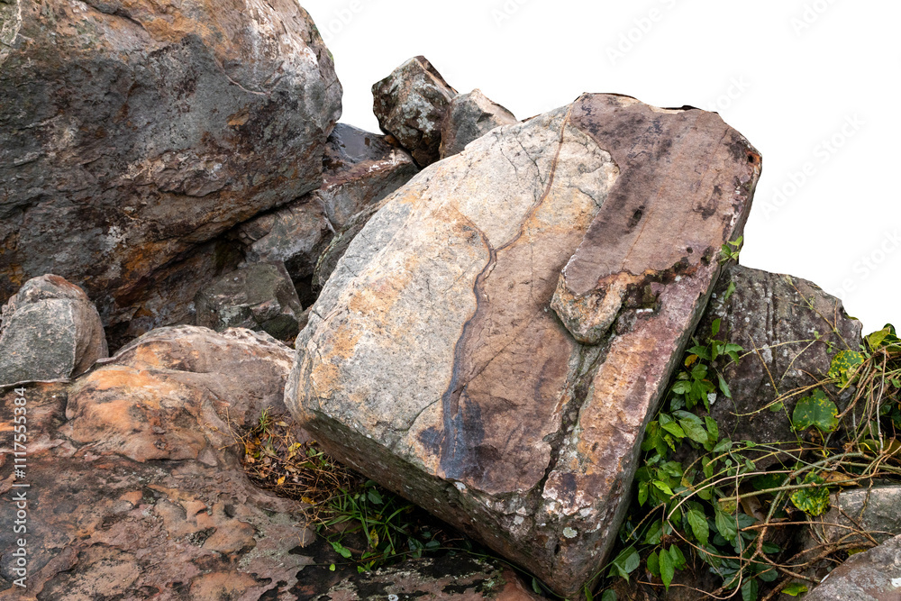 The trees.Rocks and Stone on the Mountain .Isolated on White background with clipping path The trees.Rocks and Stone on the Mountain .Isolated on White background with clipping path