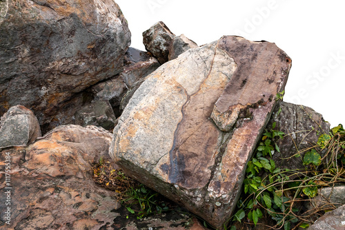 The trees.Rocks and Stone on the Mountain .Isolated on White background with clipping path