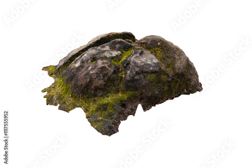 The trees.Rocks and Stone on the Mountain .Isolated on White background with clipping path