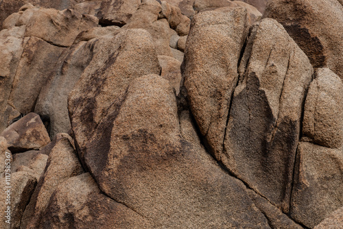 Mesozoi Plutonic Rocks, Gray biotite - rich granodiorite to quartz diorite. granite. Cottonwood Mountains . Colorado Desert section of the Sonoran Desert. Joshua Tree National Park, California.   