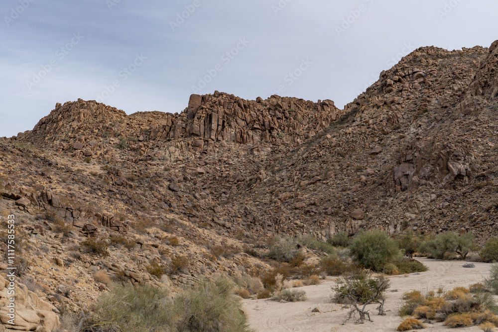 Fototapeta premium Mesozoi Plutonic Rocks, Gray biotite - rich granodiorite to quartz diorite. granite. Cottonwood Mountains . Colorado Desert section of the Sonoran Desert. Joshua Tree National Park, California. 