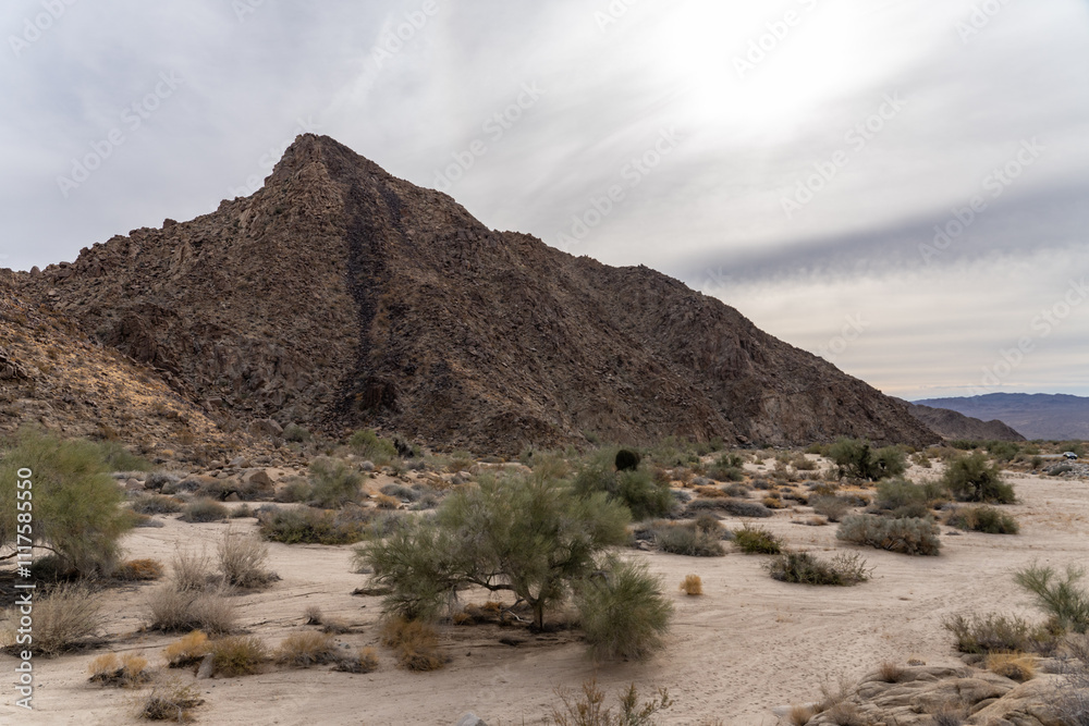Fototapeta premium Mesozoi Plutonic Rocks, Gray biotite - rich granodiorite to quartz diorite. granite. Cottonwood Mountains . Colorado Desert section of the Sonoran Desert. Joshua Tree National Park, California. 