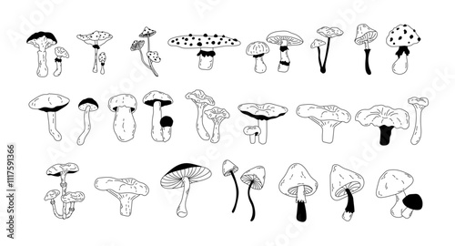 Vector set of various poisonous and edible mushrooms in doodle style. Seasonal hand-drawn mushrooms in line art style for design. Toadstool, fly agaric, chanterelle, boletus. Isolated stock graphics