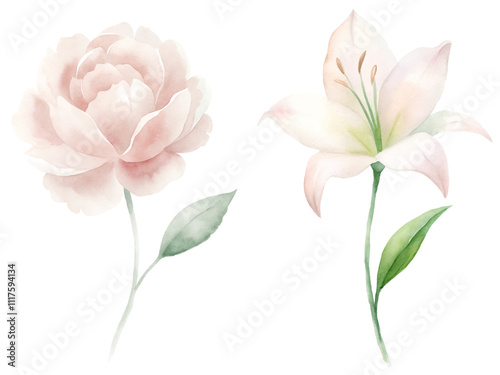 Two flowers, one pink and one white, are shown side by side