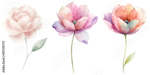 Three flowers are shown in a row, with the middle one being the tallest
