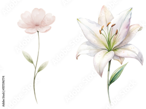 Two flowers, one is a white flower and the other is a pink flower