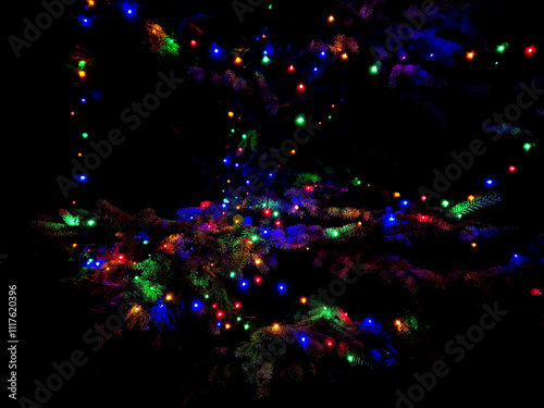 The custom of recent Christmas times is to wrap houses, garages and trees with LED chains. it's about the feeling that Christmas can't exist without kitsch lights photo