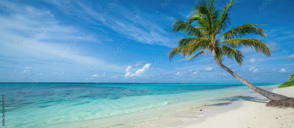 Fototapeta premium Tropical Paradise: Palm Tree on a Pristine Beach