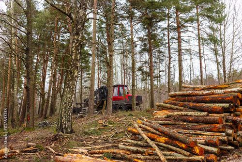 Fototapeta Naklejka Na Ścianę i Meble -  
A red tractor is doing logging work in the forest