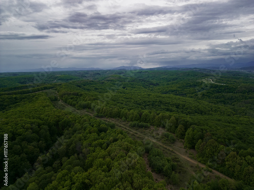 Beautiful landscape with a green wild forest observed from above the trees. Aerial photo shoot with drone in the summer season, in cloudy weather