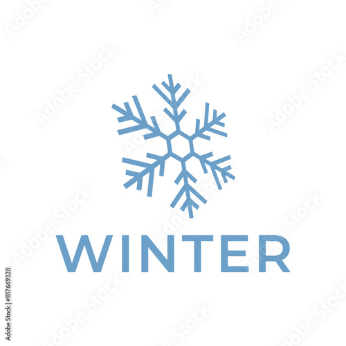 Winter snowflake logo. Snowflake logo illustration.