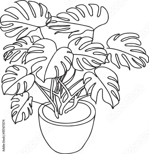 Line art plants  and flowers
