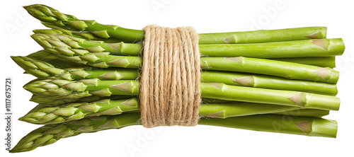 PNG Bundle of fresh green asparagus tied with string
