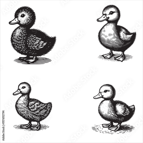 Doodle Duckling Silhouette – Playful and Adorable Waterfowl Design for Creative Projects
