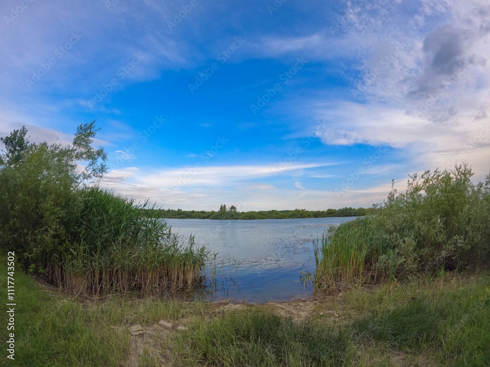 Summer landscape with a delta and a quiet lake reflecting a willow in the water. Natural habitat for numerous wild species in the environment. The wonderful green nature in all its splendor Summer landscape with a delta and a quiet lake reflecting a willow in the water. Natural habitat for numerous wild species in the environment. The wonderful green nature in all its splendor