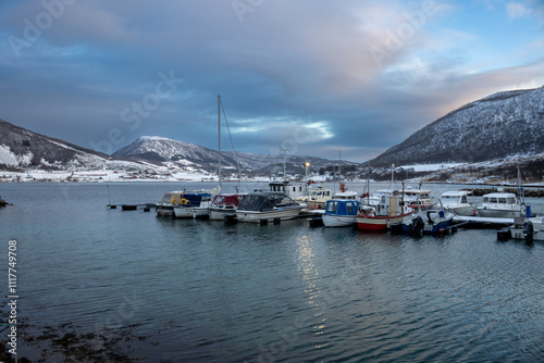 Little port on the fjord, Nupen, Harstad, Norway photo