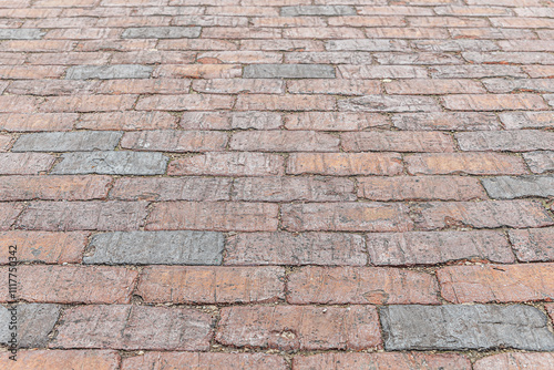 Wallpaper Mural abstract background of brick tiled road in the park perspective view shallow depth of field Torontodigital.ca